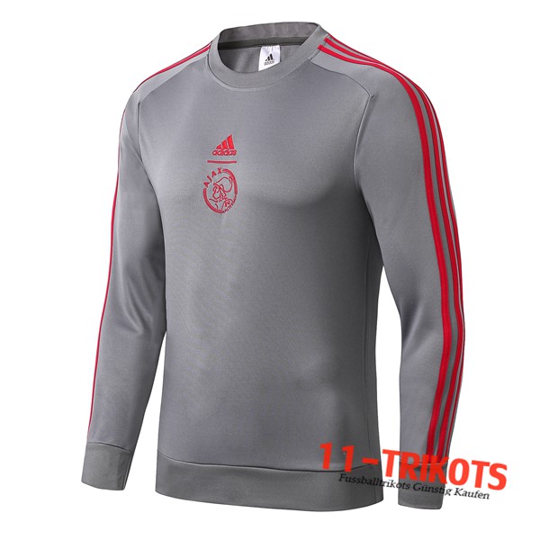 Sudadera de entrenamiento AFC Ajax Gris 2019/2020