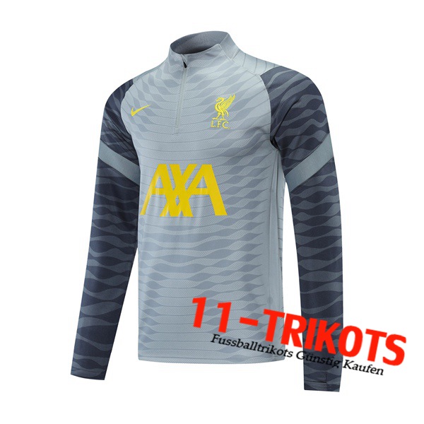 Sudadera De Entrenamiento Liverpool Gris 2021/2022