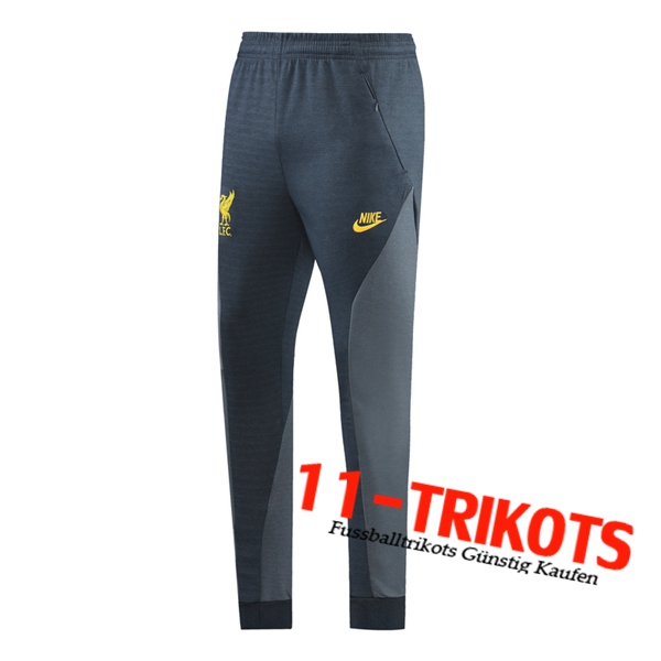 Pantalon Entrenamiento FC Liverpool Gris 2021/2022