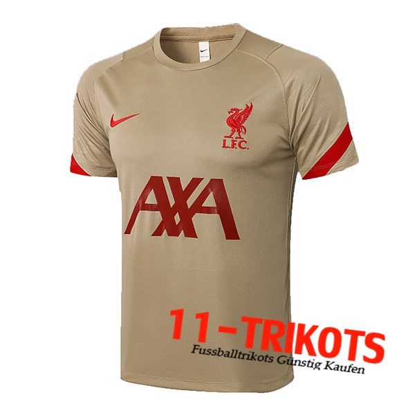 FC Liverpool Trainingstrikot Brun 2021/2022