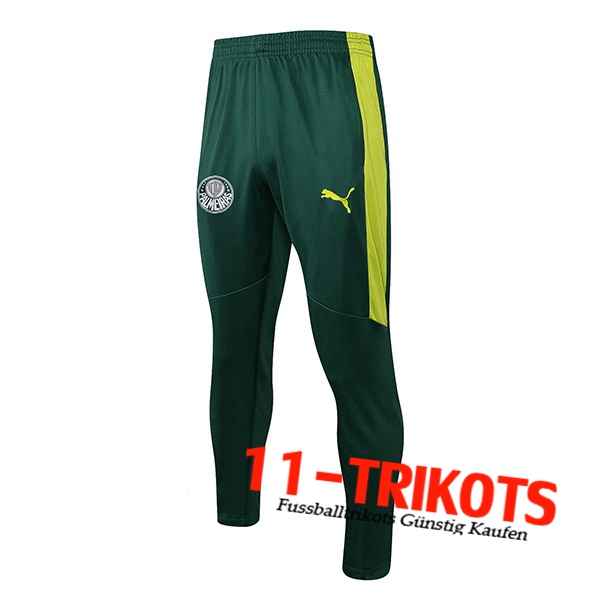 Pantalon Entrenamiento Palmeiras Verde 2021/2022