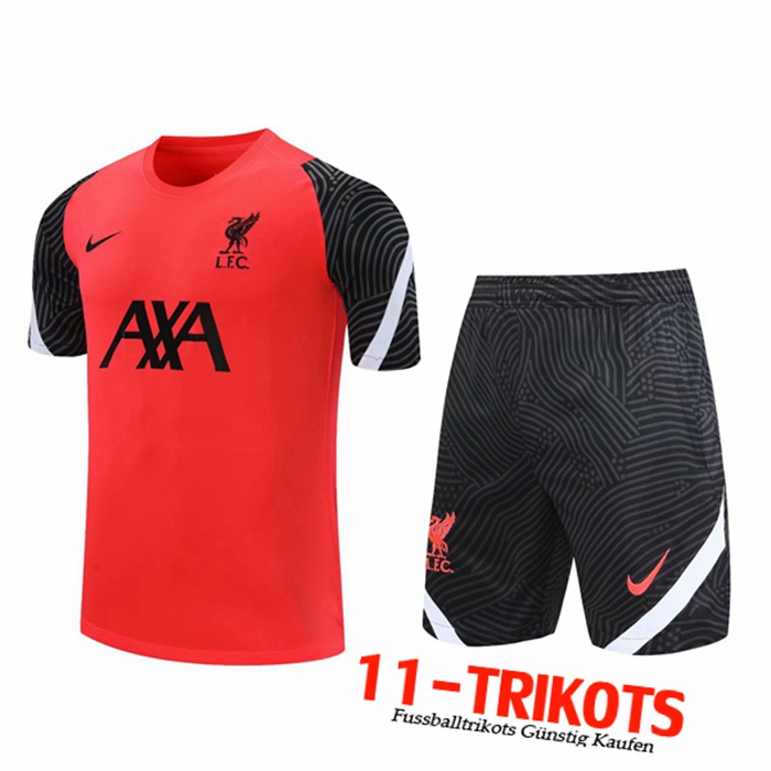 Neuestes FC Liverpool Trainingstrikot + Shorts Rot 2020/2021 | 11-Trikots