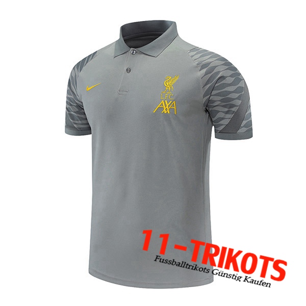 FC Liverpool Poloshirt Grau 2021/2022