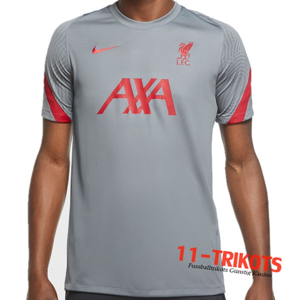 FC Liverpool Trainingstrikot Grau 2020/2021