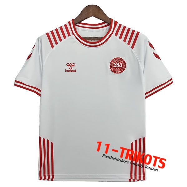 Dänemark Trikot Hummel x BLS Hafnia Limited Edition