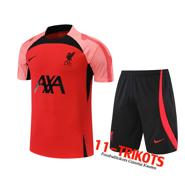 FC Liverpool Trainingstrikot +Shorts Rot 2022/2023