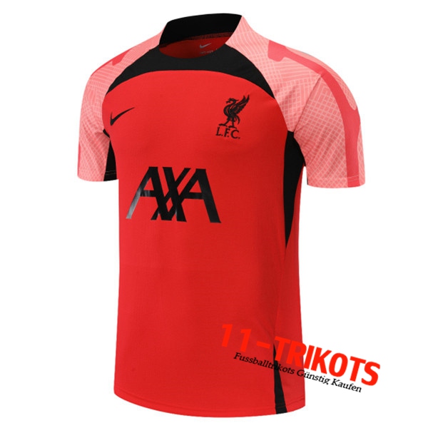 FC Liverpool Trainingstrikot Rot/Rosa 2022/2023