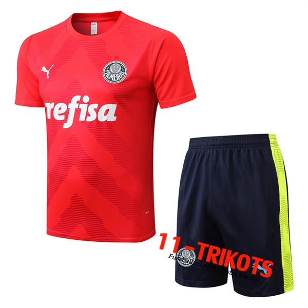 Palmeiras Trainingstrikot + Shorts Rot 2022/2023