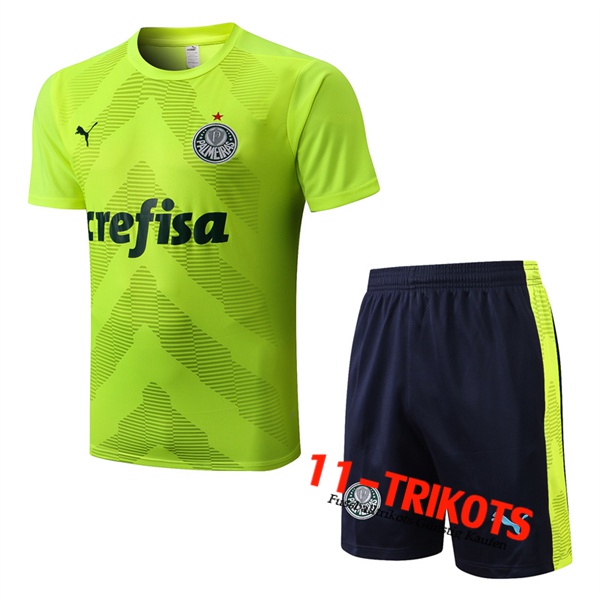Palmeiras Trainingstrikot + Shorts Grün 2022/2023