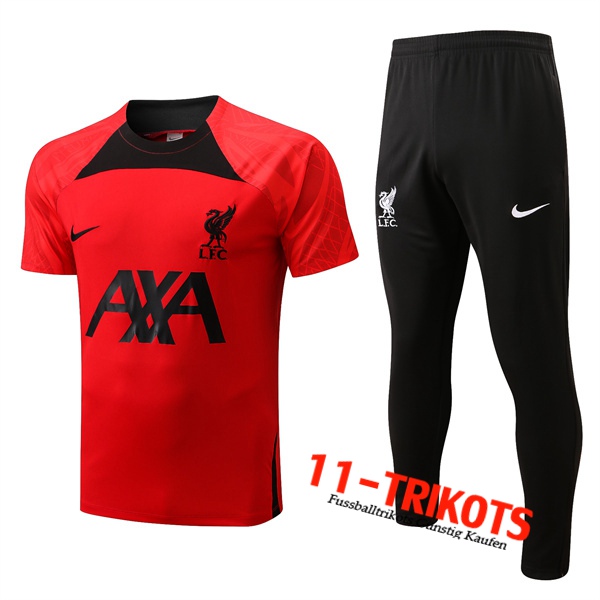 FC Liverpool Trainingstrikot + Hose Rot 2022/2023