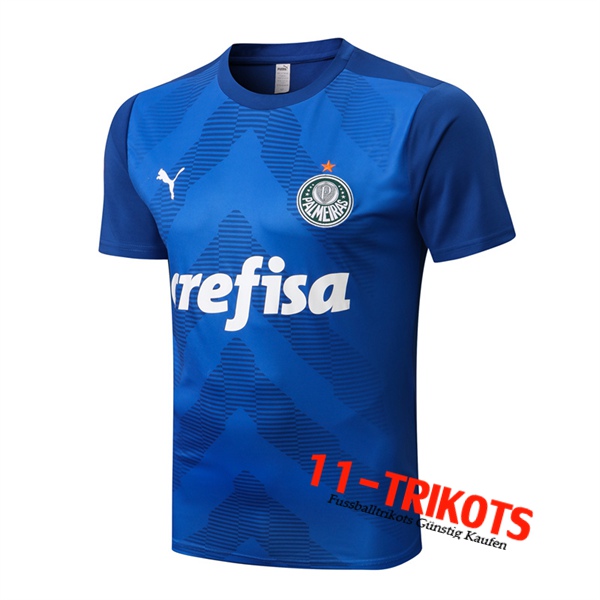 Palmeiras Trainingstrikot Blau 2022/2023