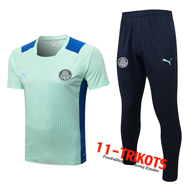 Palmeiras Trainingstrikot + Hose Grün 2022/2023