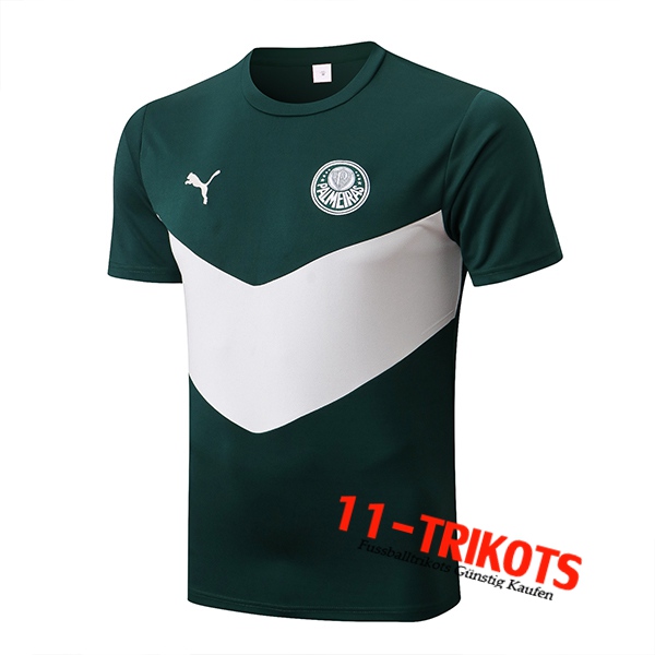 Palmeiras Trainingstrikot Grün/Weiß 2022/2023