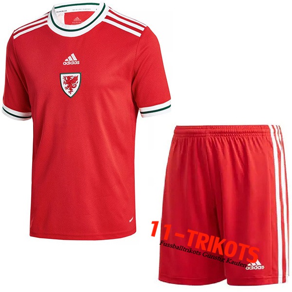 Wales Kinder Heimtrikot 2022/2023