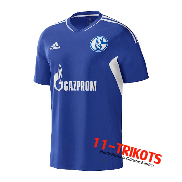 Neues Schalke 04 Heimtrikot 2022/2023