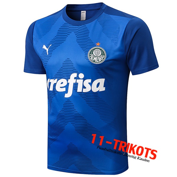 Palmeiras Trainingstrikot Blau 2022/2023