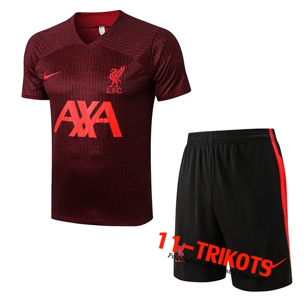 FC Liverpool Trainingstrikot + Shorts Brun 2022/2023
