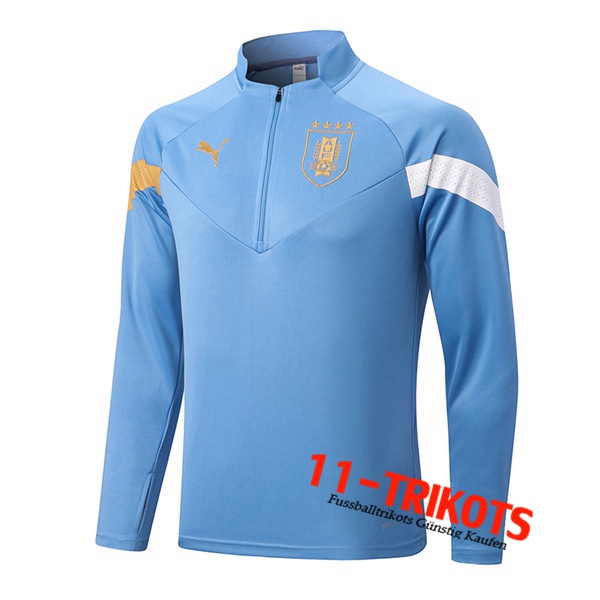 Training Sweatshirt Uruguay Hellblau 2022/2023