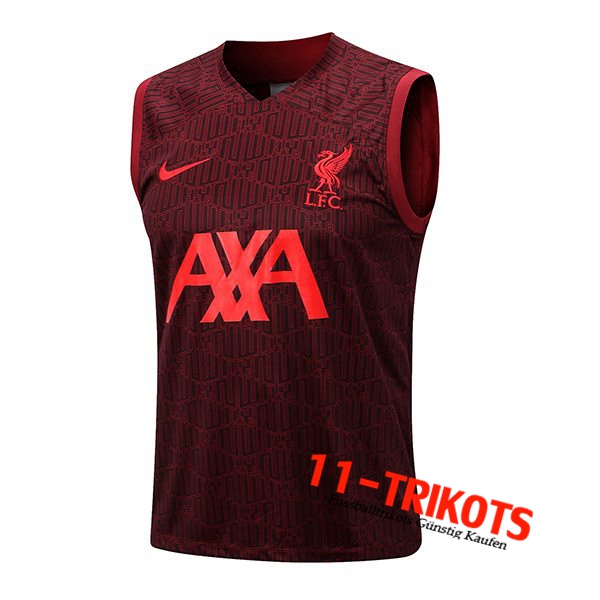 FC Liverpool Trainingstrikot Rot 2022/2023