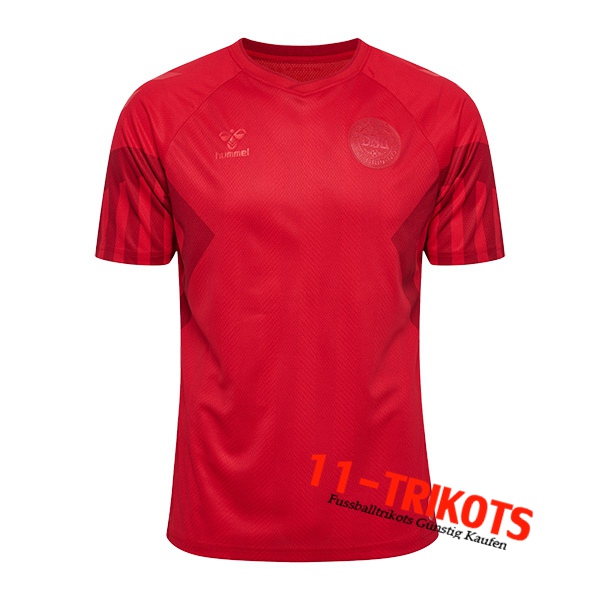 Dänemark Heimtrikot 2022/2023