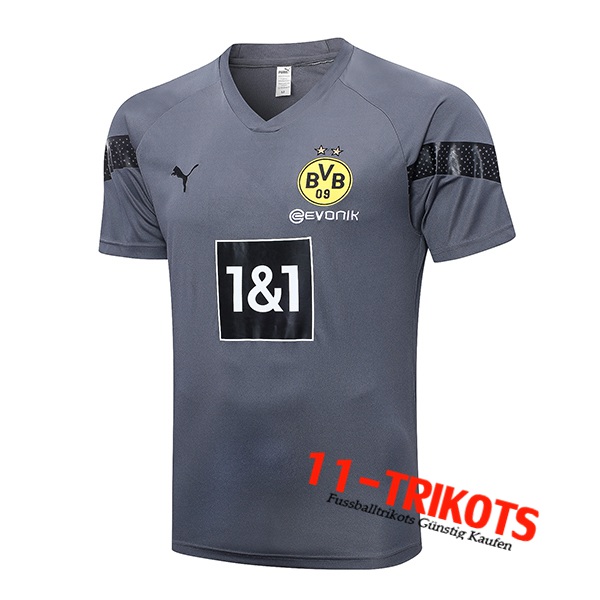 Dortmund Trainingstrikot Grau 2023/2023