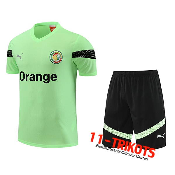 Senegal Trainingstrikot + Shorts Grün 2023/2024