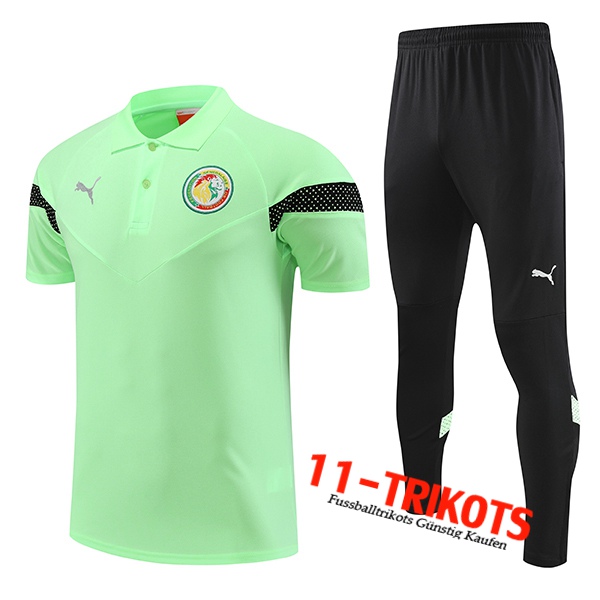 Senegal Poloshirt Grün 2022/2023