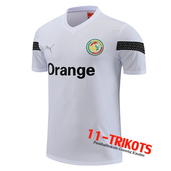Senegal Training T-Shirts Weiß 2023/2024