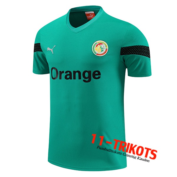 Senegal Training T-Shirts Grün 2023/2024