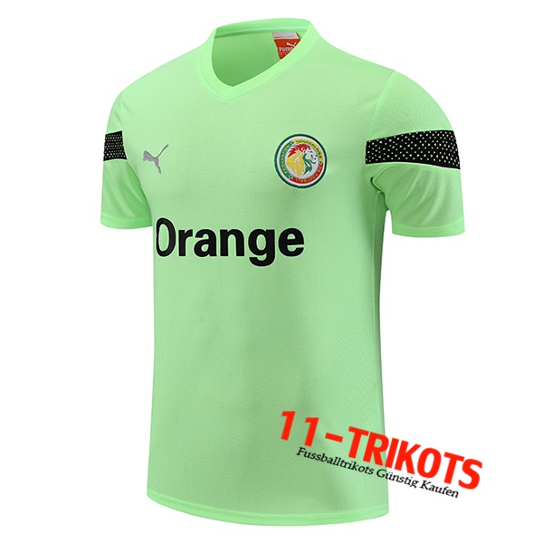 Senegal Training T-Shirts Grün 2023/2024