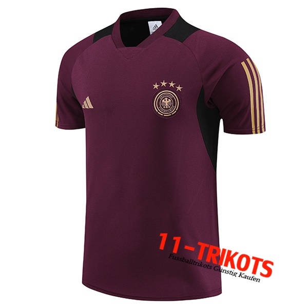 Deutschland Training T-Shirts Rot Foncé 2023/2024