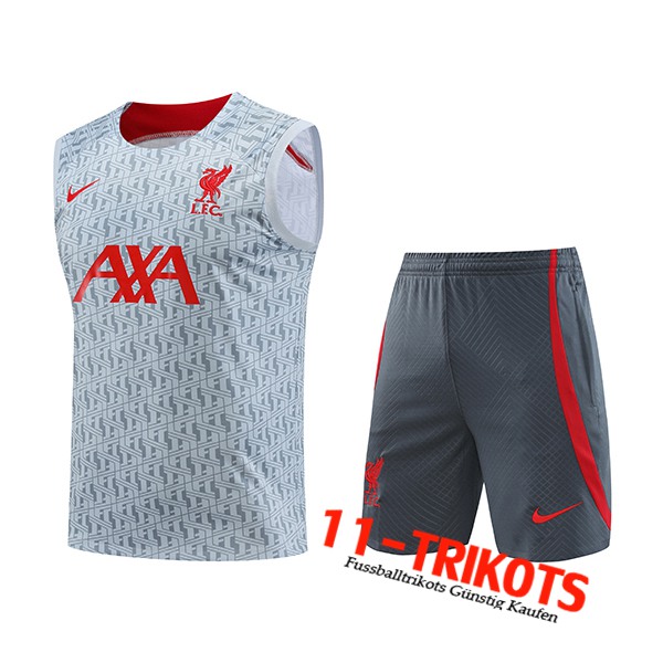 FC Liverpool Trainings-Tanktop + Shorts Grau 2023/2024