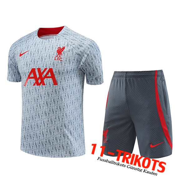 FC Liverpool Trainingstrikot + Shorts Grau 2023/2024