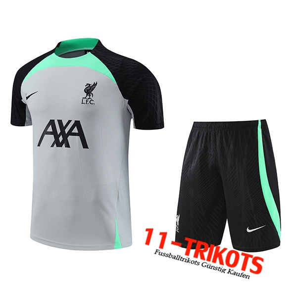 FC Liverpool Trainingstrikot + Shorts Grau 2023/2024
