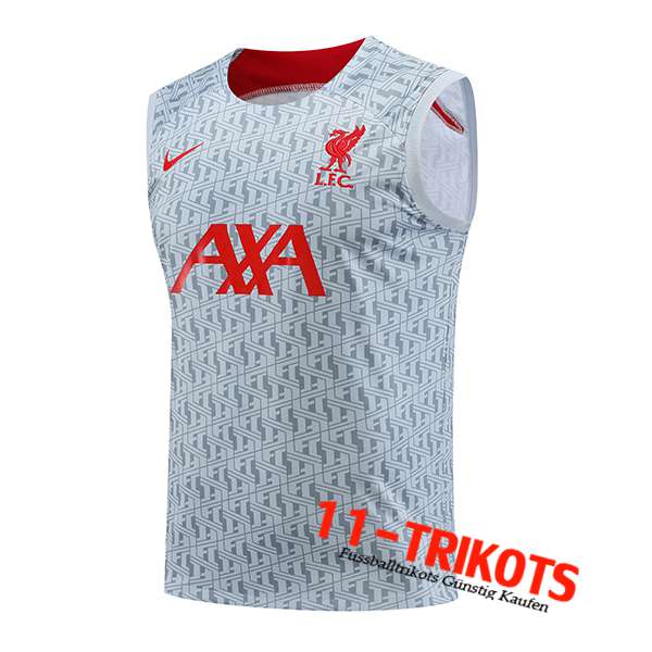 FC Liverpool Trainings-Tanktop Grau 2023/2024