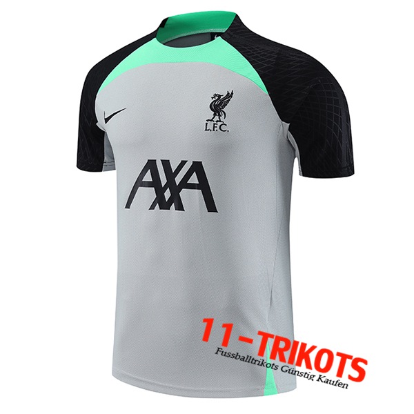 FC Liverpool Trainingstrikot Grau 2023/2024