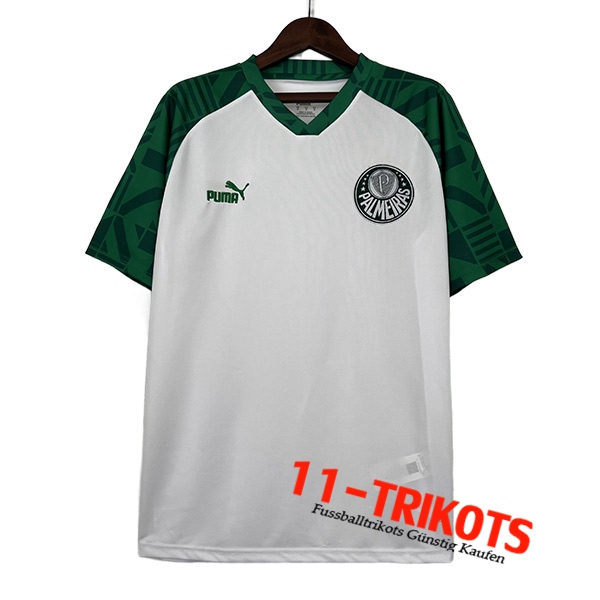 Palmeiras Special Fussball Trikots Edition Weiß 2023/2024