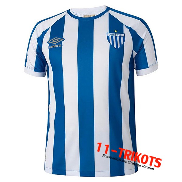 Avai Heimtrikot 2023/2024