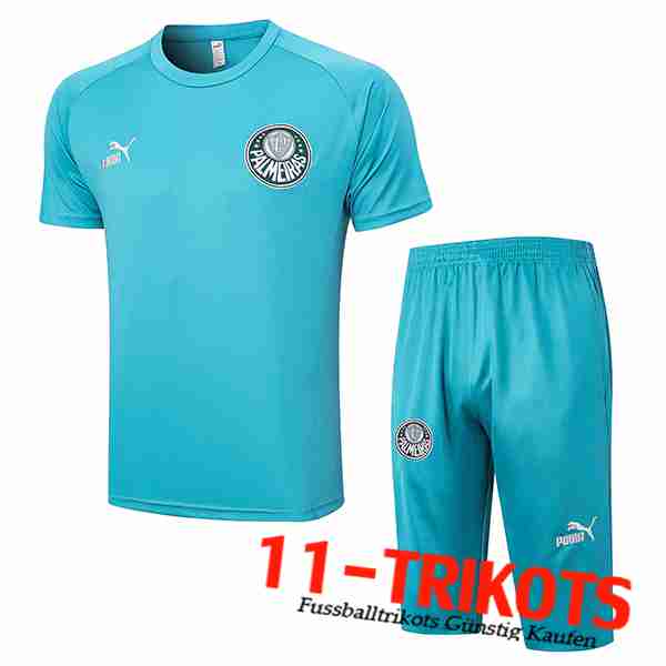 Trainingstrikot + Shorts Palmeiras Grün 2023/2024