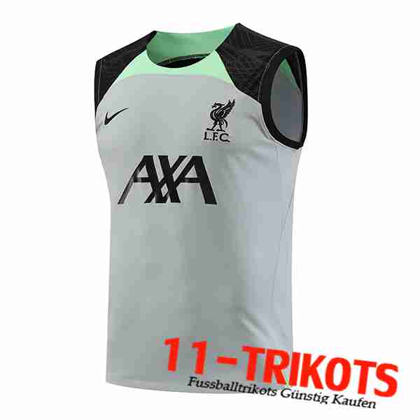 Trainings-Tanktop FC Liverpool Grau 2023/2024 -02