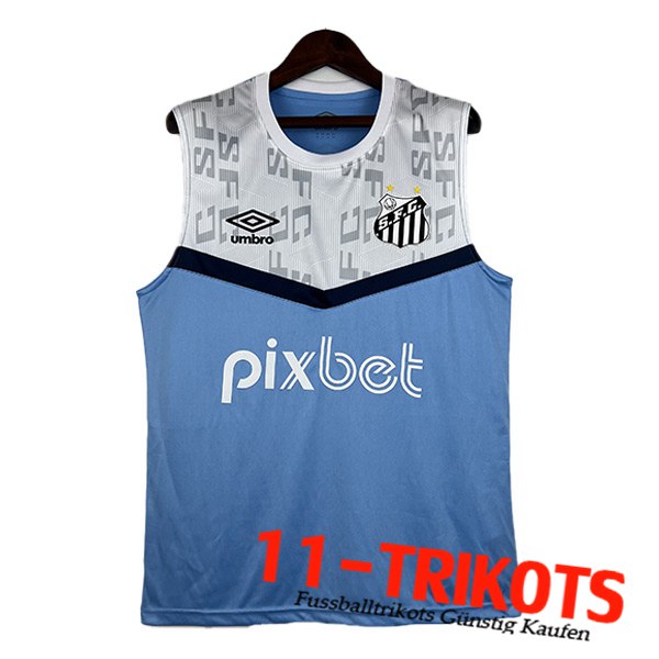 Trainings-Tanktop Gremio Blau/Weiß 2023/2024