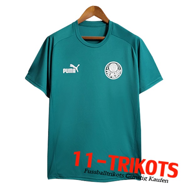 Trainingstrikot Palmeiras Grün 2023/2024 -02