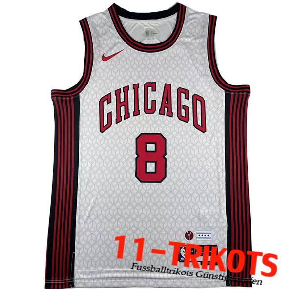 Trikots Chicago Bulls (LAVINE #14) 2023/24 Weiß