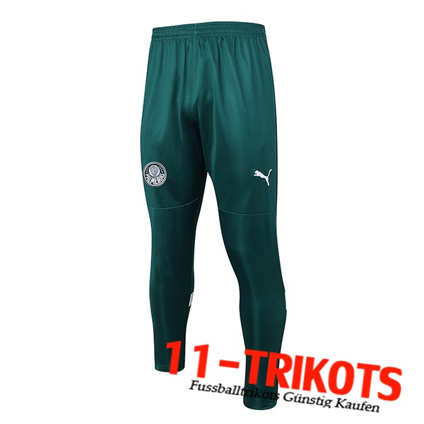 Trainingshose Palmeiras Grün 2023/2024 -02