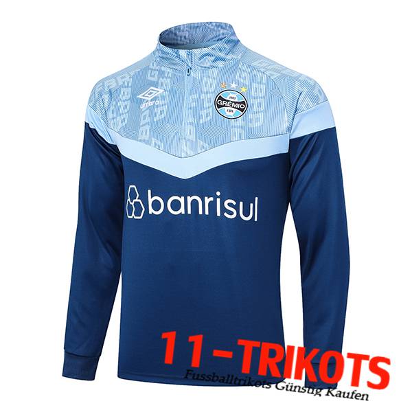 Training Sweatshirt Gremio Navy blau 2023/2024