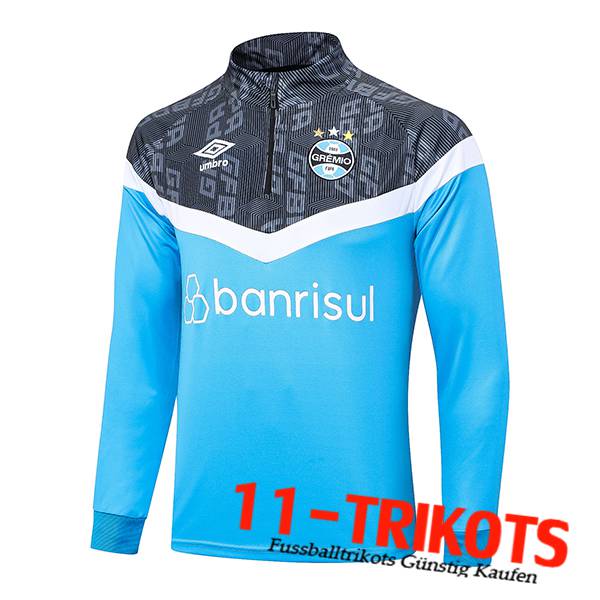 Training Sweatshirt Gremio Blau 2023/2024