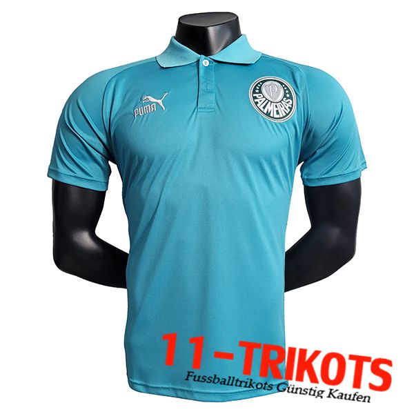 Poloshirt Palmeiras Hellblau 2023/2024