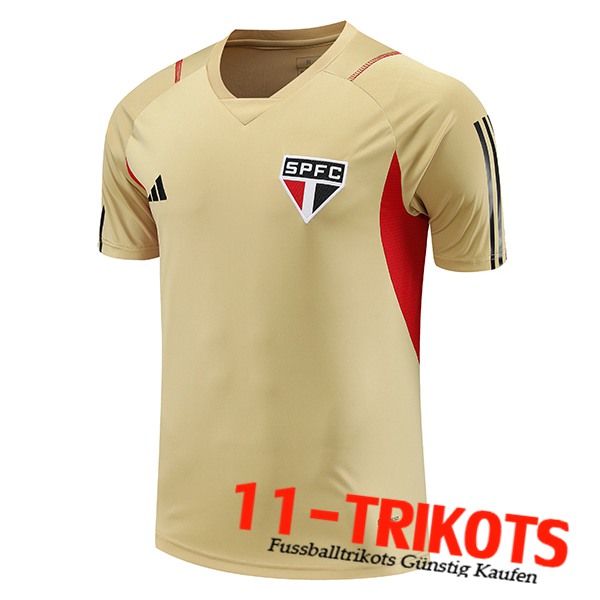 Trainingstrikot Sao Paulo FC Braun 2023/2024 -02