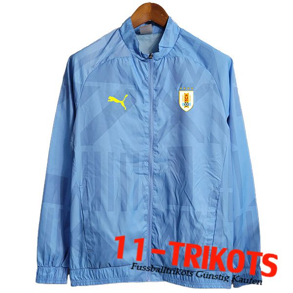 Windjacke Benfica Hellblau 2023/2024