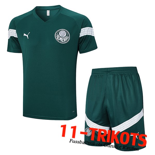 Palmeiras Trainingstrikot + Shorts Grün 2023/2024 -02